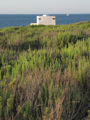 Summer in Malta long the nothern coastline