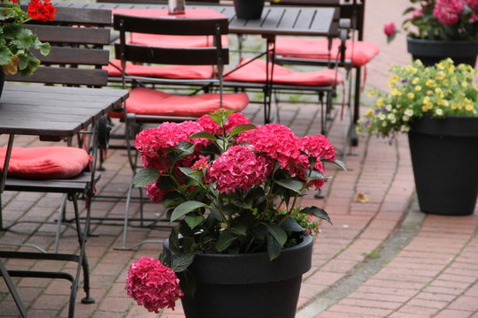 Tische eines Restaurants im Freien mit Blumen