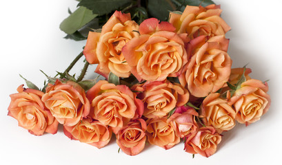 A bouquet of tender tea roses on white background