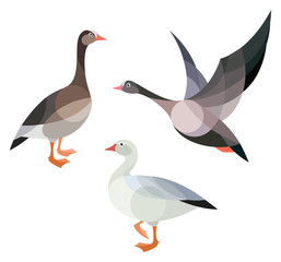 Stylized Birds - Geese