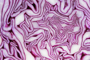 Obraz premium Red Cabbage