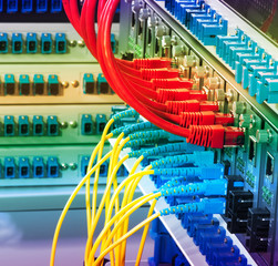 Fiber Optic cables connected to an optic ports and Network cable