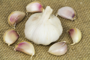 Garlic form Oganic farm on sack background