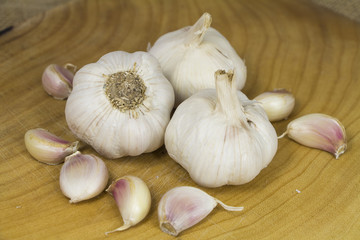 Garlic form Oganic farm on sack background