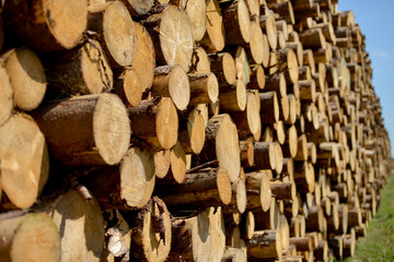 Holzstapel Brennholz Holz