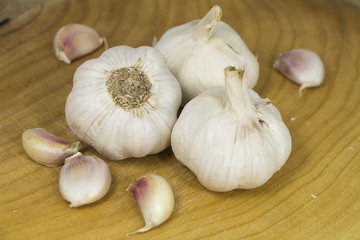 Garlic form Oganic farm on sack background