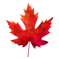 vector polygonal red mapple leaf on white background - 88560477