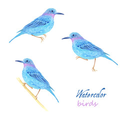 Watercolor pattern