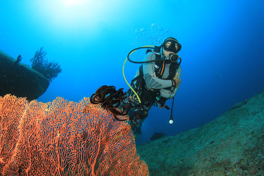 Scuba Diving on coral reef in ocean