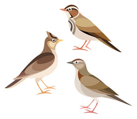 Stylized Birds - Lark, Skylark, Woodlark