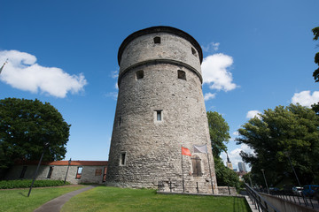 Fototapeta na wymiar Tallinn, Estonia. Medieval tower Kiek in de Kok in the park on the hill Toompea