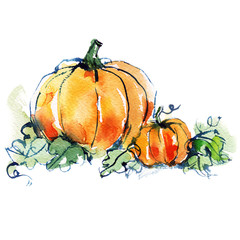 ripe orange two pumpkins with green leaves, vegetable, autumn harvest, watercolor sketch
- 88562890