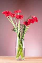 Gerbera in a glass vase