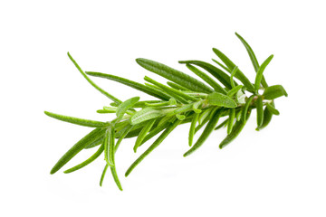 rosemary isolated on white background
