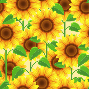 Bright seamless pattern with flowers sunflowers