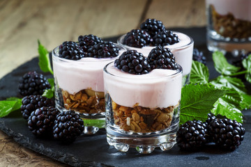 Homemade granola with yogurt and blackberry in glass bowls, heal