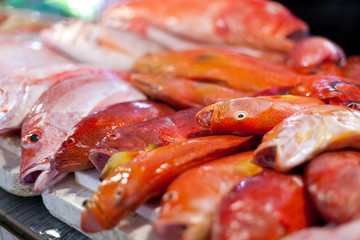Lapu-lapu, red snapper and tuna, seafood on market