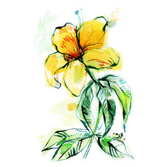 yellow flower, branch, watercolor sketch on white background