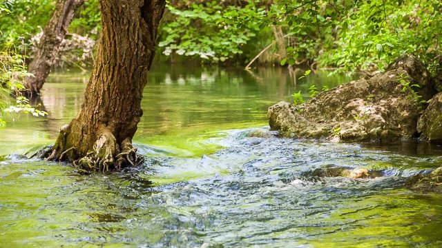 Mountain River Slowing Moving Among Greenery And Stones