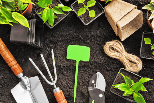 Gardening tools and plants