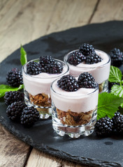 Homemade granola with yogurt and blackberry in glass bowls, heal