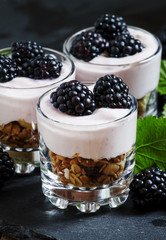 Homemade granola with yogurt and blackberry in glass bowls, heal