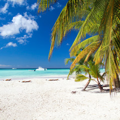 Caribbean paradise