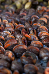 Fresh seafood in asian market