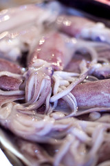 Lapu-lapu, red snapper and tuna, seafood on market