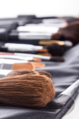 Professional make-up brushes in compact case