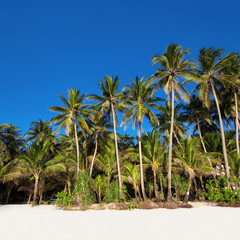 Fototapeta premium White beach