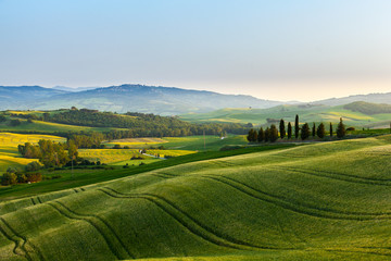 Fototapeta na wymiar Sunset over a spring landscape of Tuscany fields, Italy