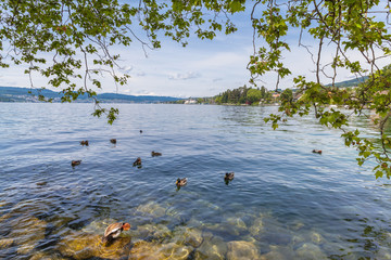 View of Zurich Lake