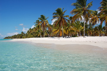 Republica Dominicana
Playa de aguas cristalinas y palmeras