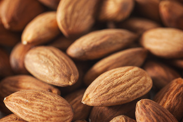 fresh almond seed close up