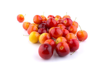 cherry-plum isolated