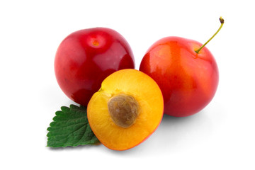 cherry-plum isolated