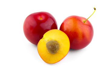 cherry-plum isolated