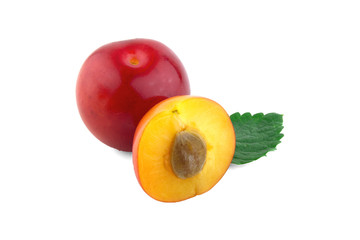cherry-plum isolated
