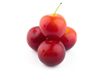 cherry-plum isolated