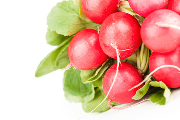 Pile of garden radish