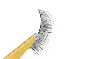 False lashes and yellow pincers