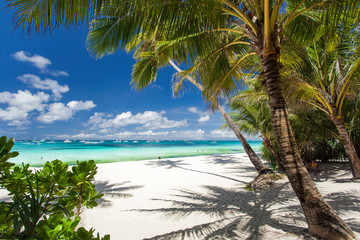 Tropischer Strand mit Palmen und weißem Sand