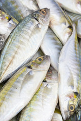 Thai cuisine, morning catch of mackerel on a market stall