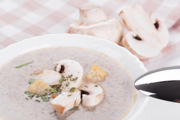 Mushrooms soup