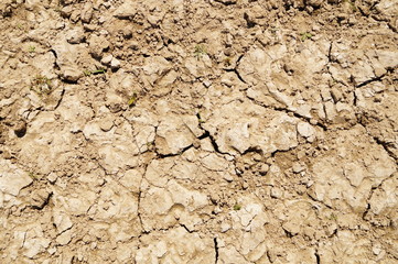 Hintergrund trockener Boden