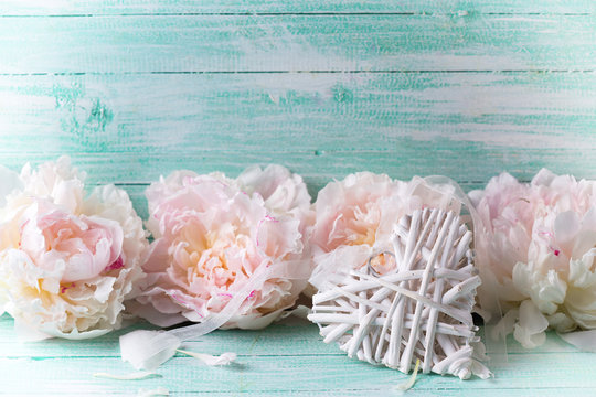 Decorative white heart and  white peonies  flowers