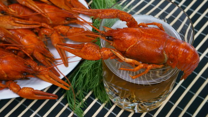 red boiled crawfishes on plate and beer