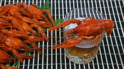 Fresh boiled crawfish 