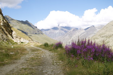 Valsavarenche